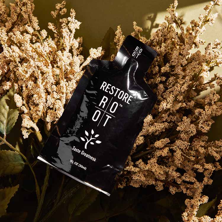 Root Wellness